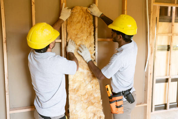 Best Home Insulation Services  in Three Way, TN
