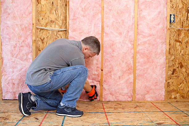 Best Local Insulation Services  in Three Way, TN